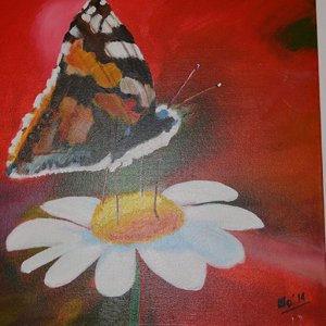 Butterfly 90,-