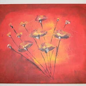 Mohnblumen 90,-€